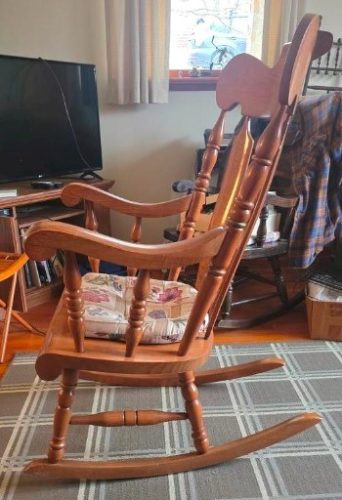 www.TrueBlueAuctions.com 1437 Cooper Avenue Grassflat PA 16839 - Personal Property