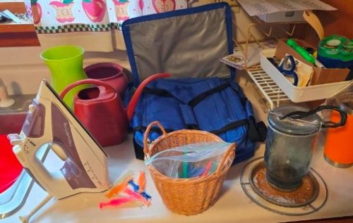 www.TrueBlueAuctions.com 1437 Cooper Avenue Grassflat PA 16839 - Personal Property