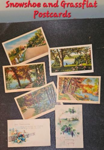 www.TrueBlueAuctions.com 1437 Cooper Avenue Grassflat PA 16839 - Personal Property