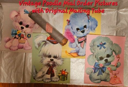 www.TrueBlueAuctions.com 1437 Cooper Avenue Grassflat PA 16839 - Personal Property