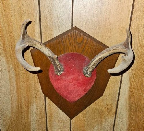 www.TrueBlueAuctions.com 1437 Cooper Avenue Grassflat PA 16839 - Personal Property
