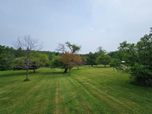 1437 Cooper Avenue Grassflat PA 16839 - Real Estate