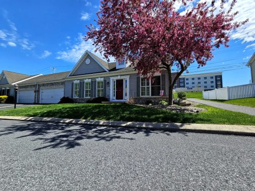 Close Curb Appeal Tree View