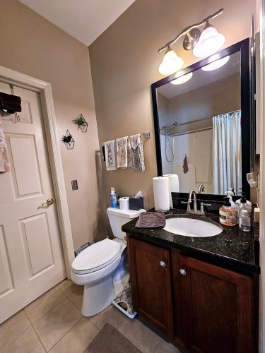Bathroom1 vanity toilet mirror