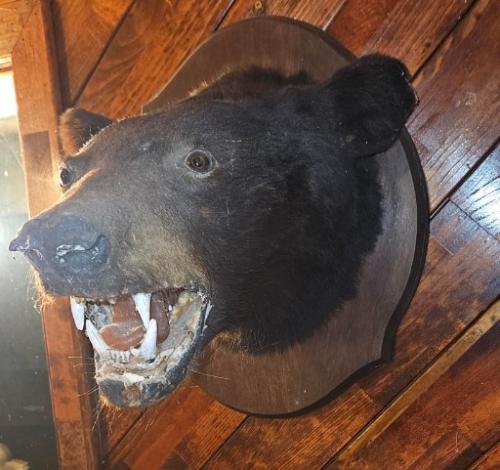 www.TrueBlueAuctions.com - 251 Eagleville Road Blanchard PA 16826 Personal Property