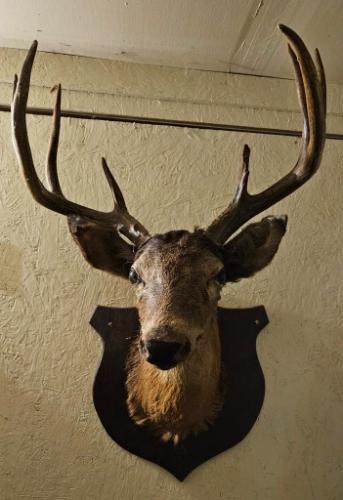 www.TrueBlueAuctions.com - 251 Eagleville Road Blanchard PA 16826 Personal Property