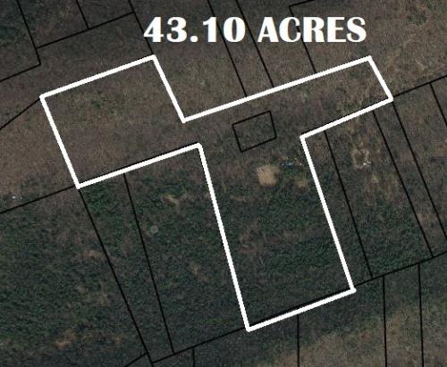 43+ Acres - 385 Elk Creek Road Aaronsburg, PA 16820 - Real Estate Auction