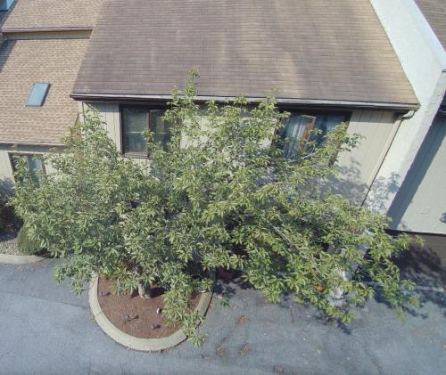 736 West Aaron Drive State College PA 16803 - Real Estate