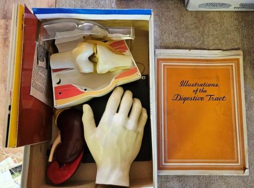 Estate Auction 116 Aldrich Ave Altoona PA Personal Property